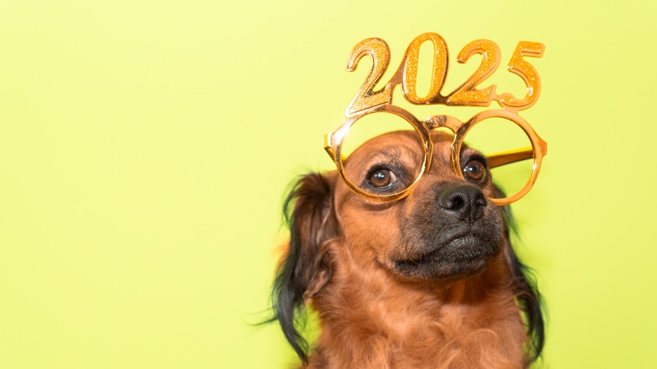 Nem mindegy, mit eszel, és az sem, milyen színű az adott étel, amit újév napján fogyasztasz