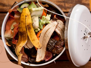 6 trükk, hogy véget vess otthon az ételpazarlásnak