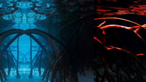 Egzotikus álom és utazás a Galla új kollekciójában