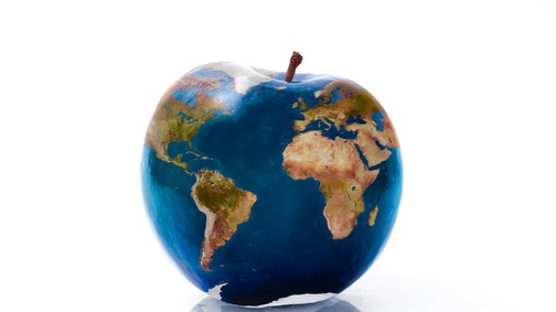 Fontos, hogy jót egyél, de a környezeteddel is törődsz? Kövesd ezt a 6 lépést az egészséges és környezetkímélő étrendért