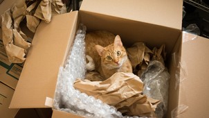 Új otthon, régi gyökerek; hogyan élnek a külföldön letelepedett magyarok? - Élettapasztalatok a külföldi élet kihívásairól és szépségeiről