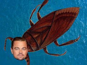 Leonardo DiCaprio-ról neveztek el egy újonnan felfedezett, undoritó csótányt!