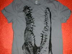 Magyar sikersztori New Yorkban!