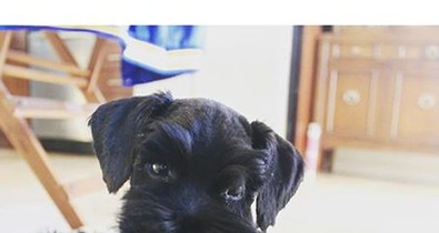 Zendaya kapta a legédesebb karácsonyi ajándékot