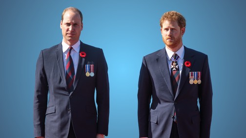Borzasztóan megalázó helyzetbe került Harry herceg és Vilmos herceg: pont azt nem öröklik édesanyjuktól, ami a legfontosabb volt számára