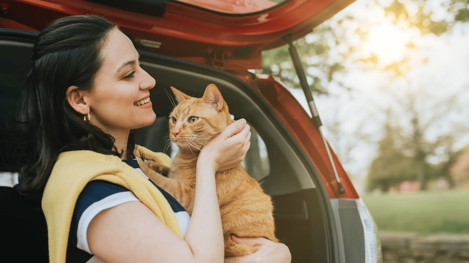Nyaralni indulsz a cicáddal? Így könnyítheted meg számára az utazást!