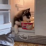 7 tipp, hogy rendezett legyen a hűtőszekrényed