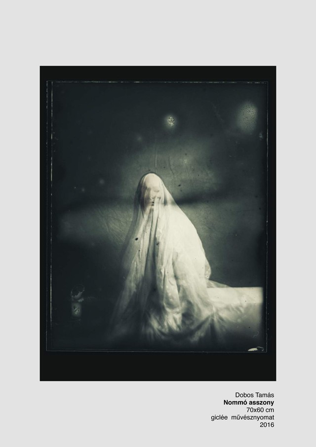 dobos tamás, u, kiállítás, next galéria, divatfotós