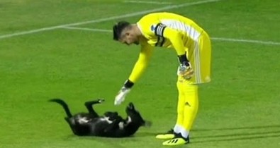 Nem lesz cukibb ma a focipályára szaladó kutyánál