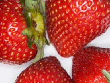 Először is: a szamóca!