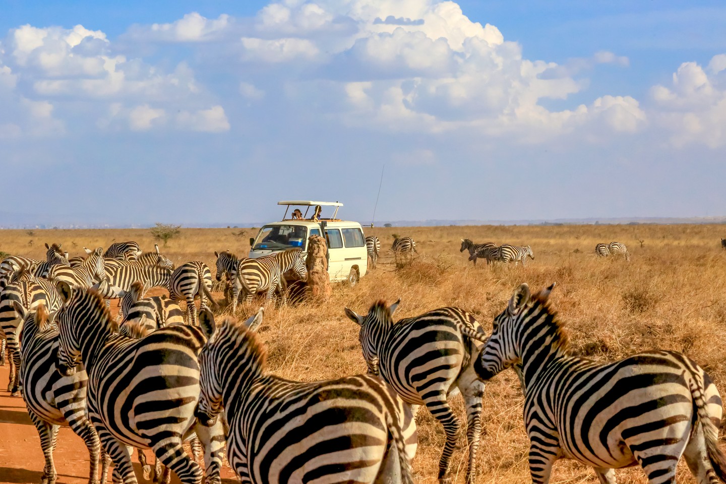 IBUSZ utazás Kenyában: szervezett szafari és egzotikus élmények Kelet-Afrika lenyűgöző tájain, ahol a vadon, a kaland és a kikapcsolódás találkozik