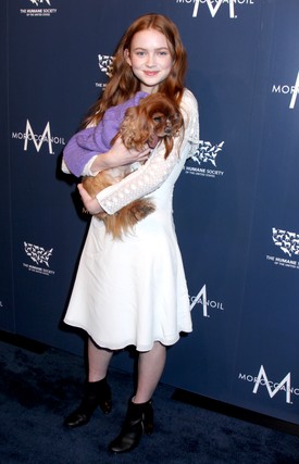 Egy állatvédő egyesült gáláján egy kiskutyával a kezében lopta el a show-t. (2017. november)