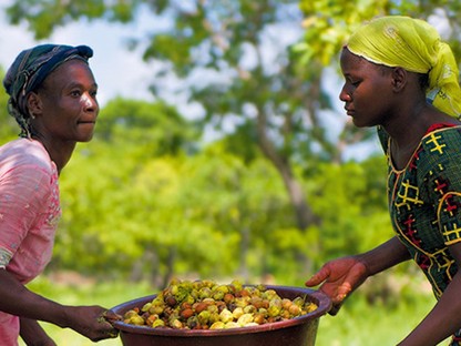 Nőkön segíthetsz, ha a L`OCCITANE termékeit választod