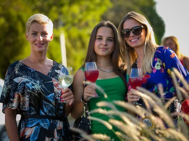 Woodstock a balatoni hegyoldalban, pezsgővel, gourmet közönséggel - Jön a Paloznaki Jazzpiknik