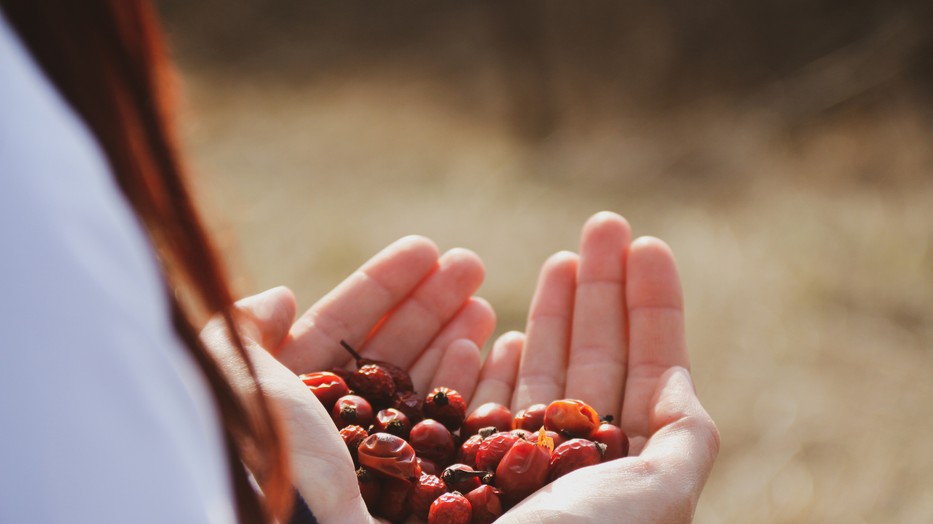 5 természetes csodaszer a skandinávok ajánlásával: te próbáltad már őket?