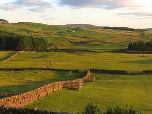 A skót Lowland-régióban készített whisky sajátosságai