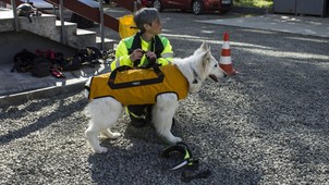 „A török földrengés borzalmaira nem lehetett felkészülni" - Riport Kovács Tímeával, a Keresőkutyás Szolgálat Alapítvány vezetőjével