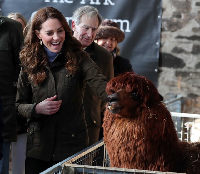 Katalin hercegné lazára vette a figurát: alpakákkal cukiskodik