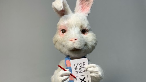 Védd meg az állatkísérlet-mentes kozmetikumokhoz való jogodat!