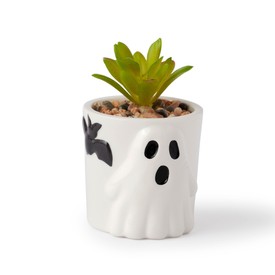 Papco Holloween kollekció 2025