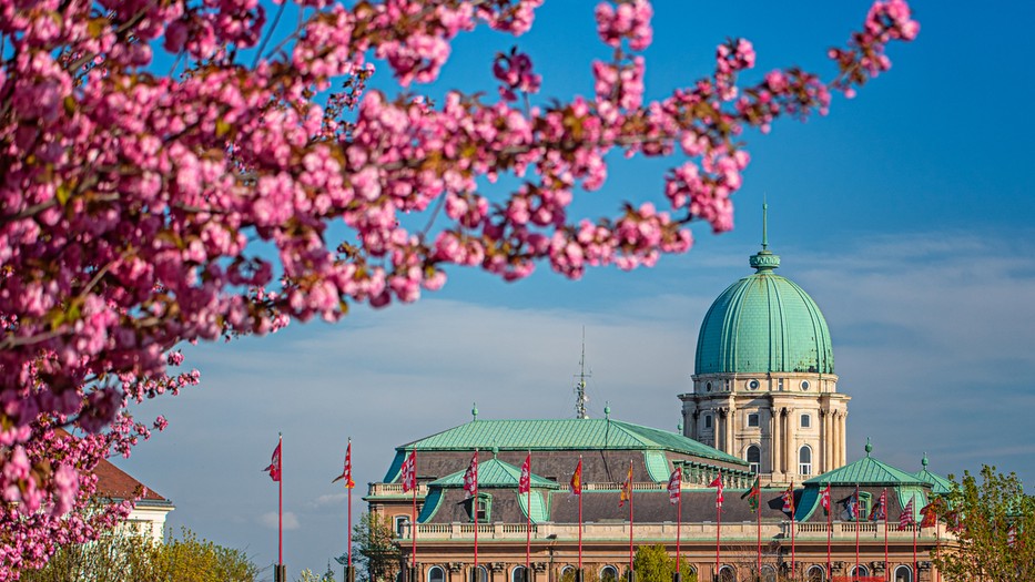 Programajánló a Budai Vár körül: rejtett kis ékszerdoboz a város szívében