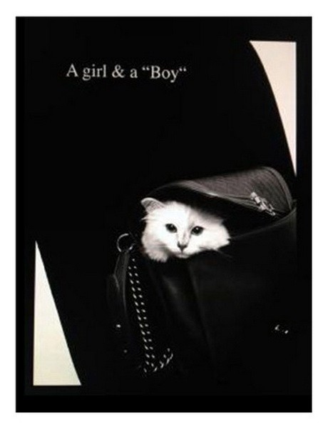 Lagerfeld cicafüleket növesztett