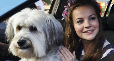 5 kutyabarát kávézó és reggeliző Budapesten