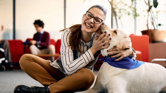 Egy simogatás, ami gyógyít: ezért varázslatosak a terápiás kutyák