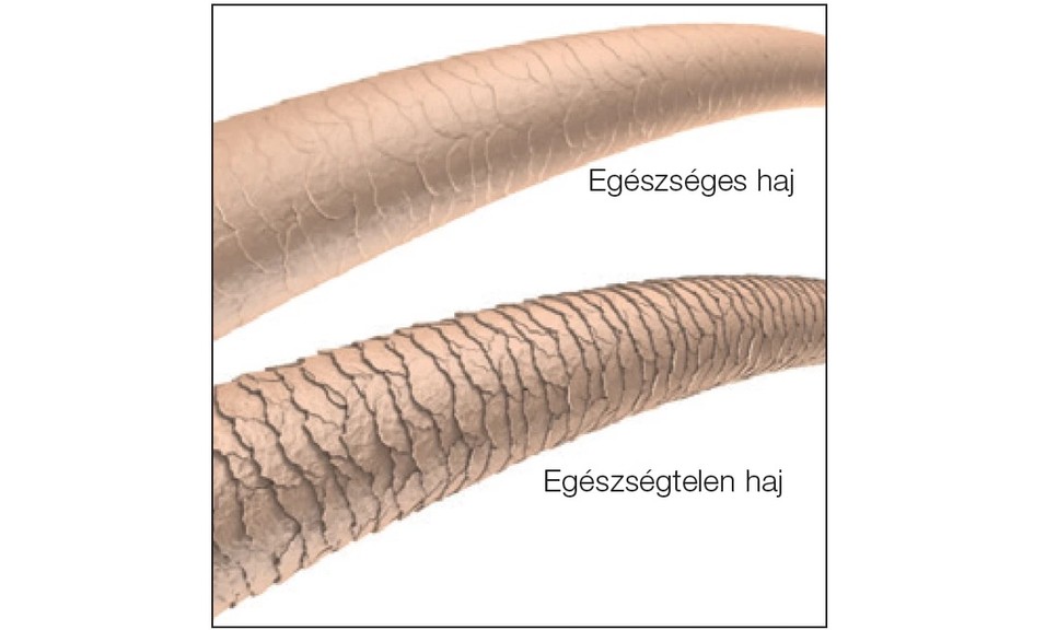 A keratin titkai: Hogyan hozd vissza hajad egészségét és ragyogását!