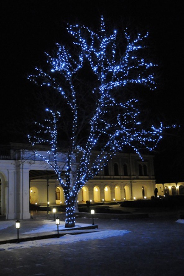 Balatoni borkarácsonyfa a Városligetben