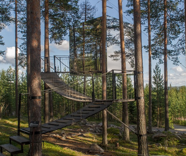 Egy álom: a fák tetején aludhatsz ebben a varázslatos szállodában