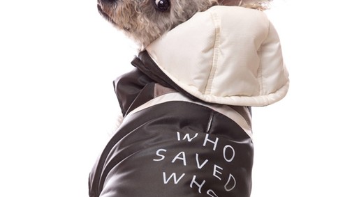 A háromlábú, örökbefogadott kutyus kollekciója még több állat életét mentheti meg