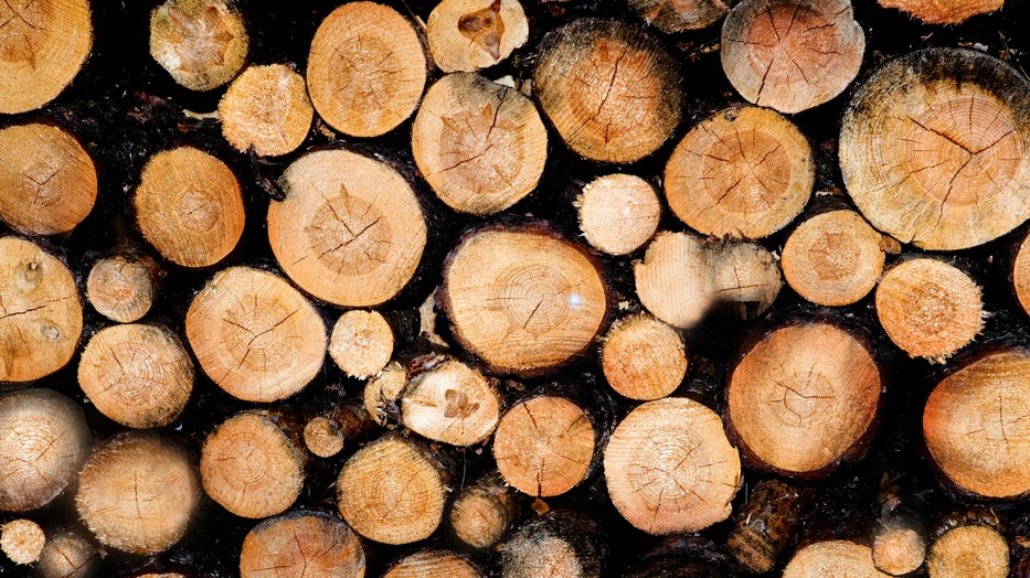 Az új tűzifa-rendelet a szegény háztartásokat szorítja leginkább csapdába