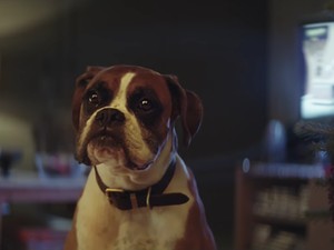 Megérkezett a John Lewis idei karácsonyi reklámfilmje