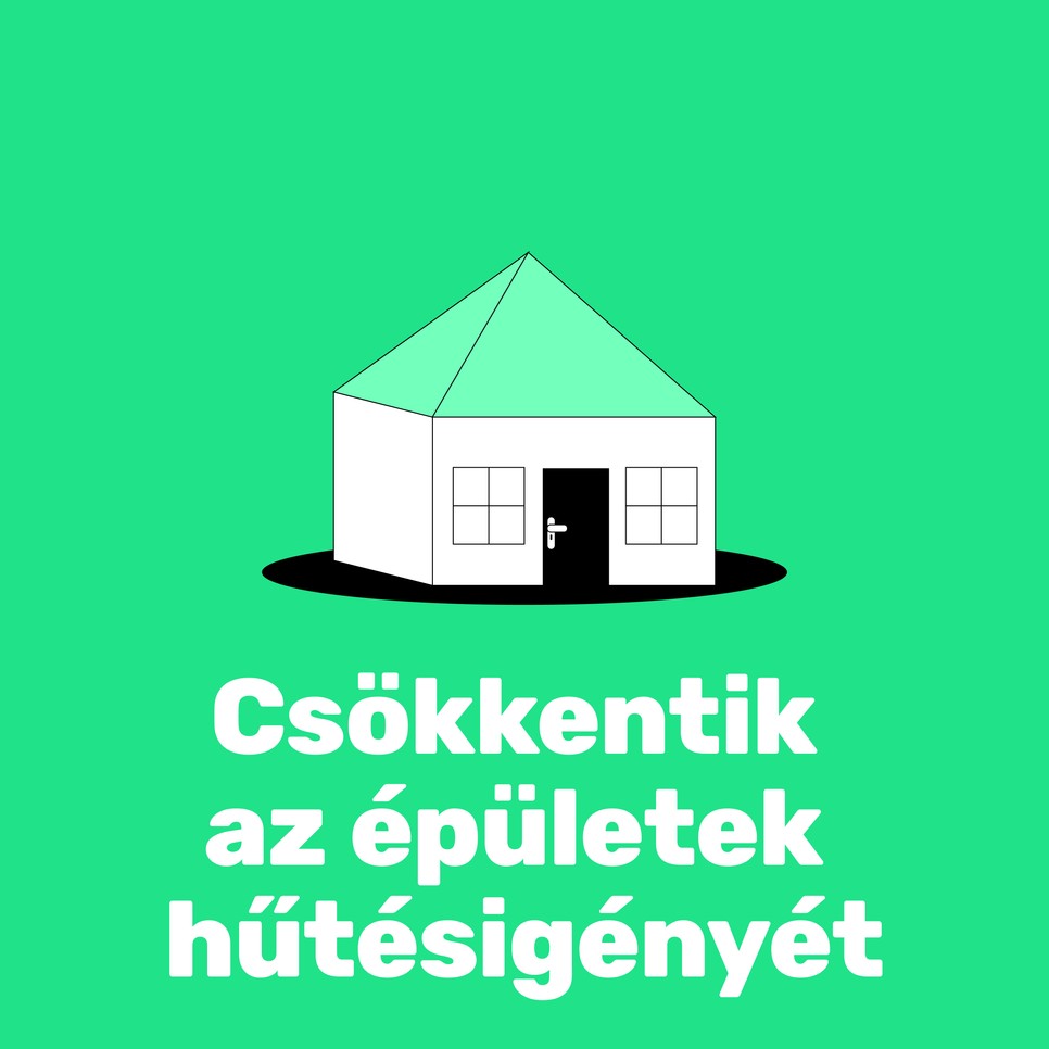 A városi fák többet érnek, mint gondolnánk