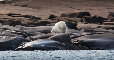 Bár csökkent tavaly a kibocsátás, a felmelegedés folytatódott