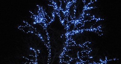 Balatoni borkarácsonyfa a Városligetben