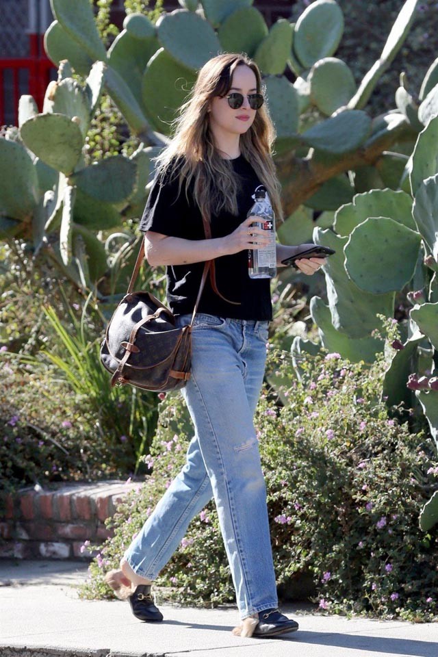 Dakota Johnson Louis Vuitton Gucci