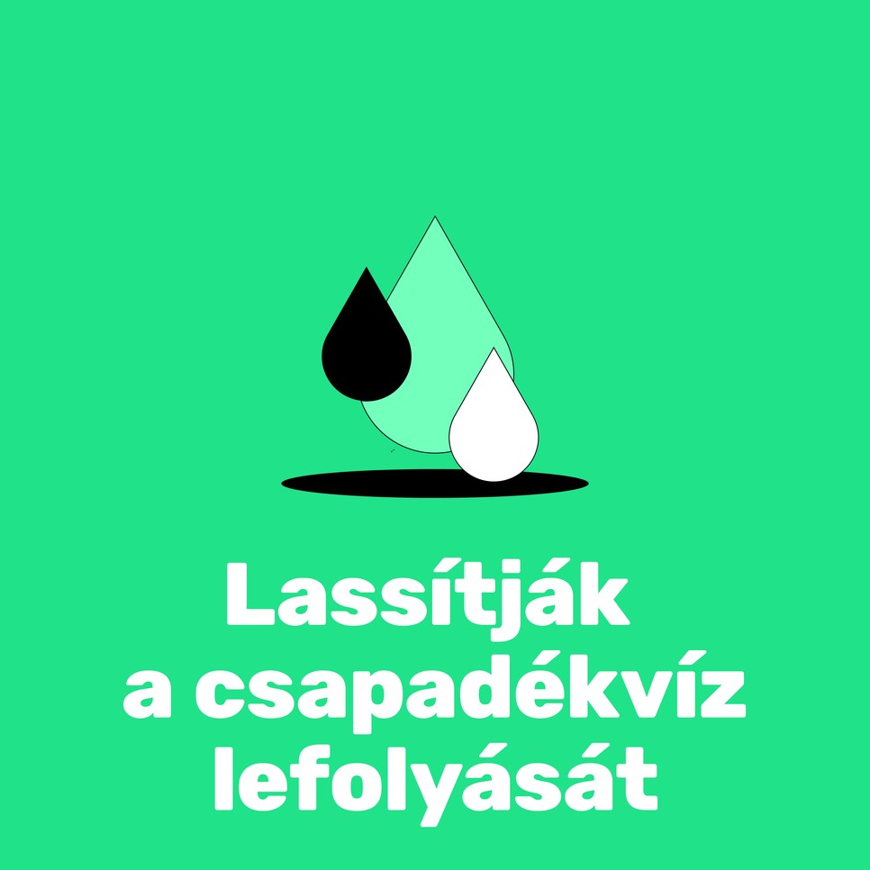 A városi fák többet érnek, mint gondolnánk