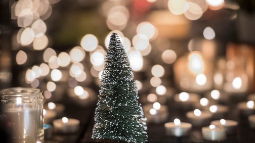 13 különleges alternatív karácsonyfa, hogy igazán egyedi legyen az ünnep