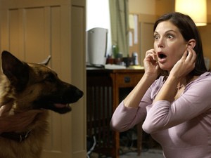 7 tévhit a házi kedvenceinkről, amit érdemes tudni