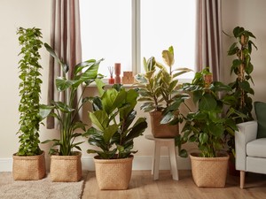 9 hétköznapi tárgy, ami titokban balszerencsét hozhat