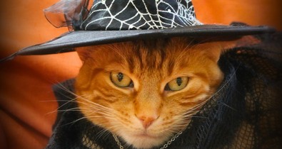 Démon helyett feminista erő: a boszorkánykultusz újjászületett és bátrabb, mint valaha