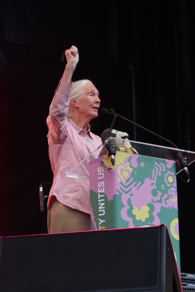 Jane Goodall
