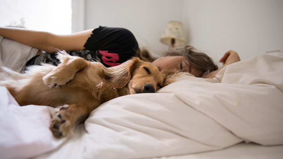 Szeretnél sokáig élni? Akkor ne az alvás legyen az, amin legközelebb spórolsz