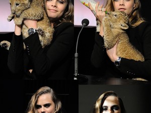 Nem lesz cukibb! Cara Delevingne és a bébi oroszlán