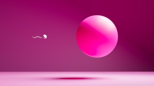 Hogyan javíthat egy férfi a hímivarsejtjei minőségén és mennyiségén? A termékenység nem csak a nők ügye!