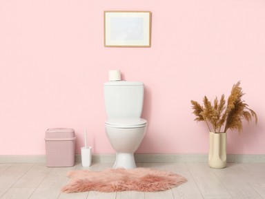 A nagymamáink tudták: ezért nem szabad soha nyitva hagyni a WC-ülőkét éjszakára
