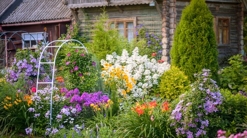 Felejtsd el a muskátlit! 2026-ban ezek a növények lesznek a kertek legszebb díszei