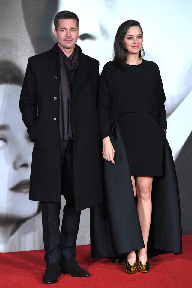 marion cotillard, brad pitt angelina jolie válás, szövetségesek, allied, terhes